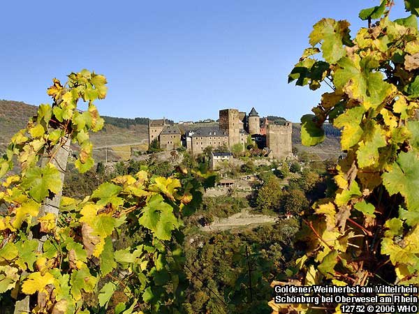 Burgen am Rhein - Schnburg bei Oberwesel